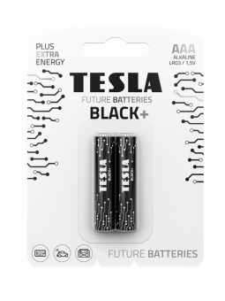 BATERIA ALKALICZNA TESLA...